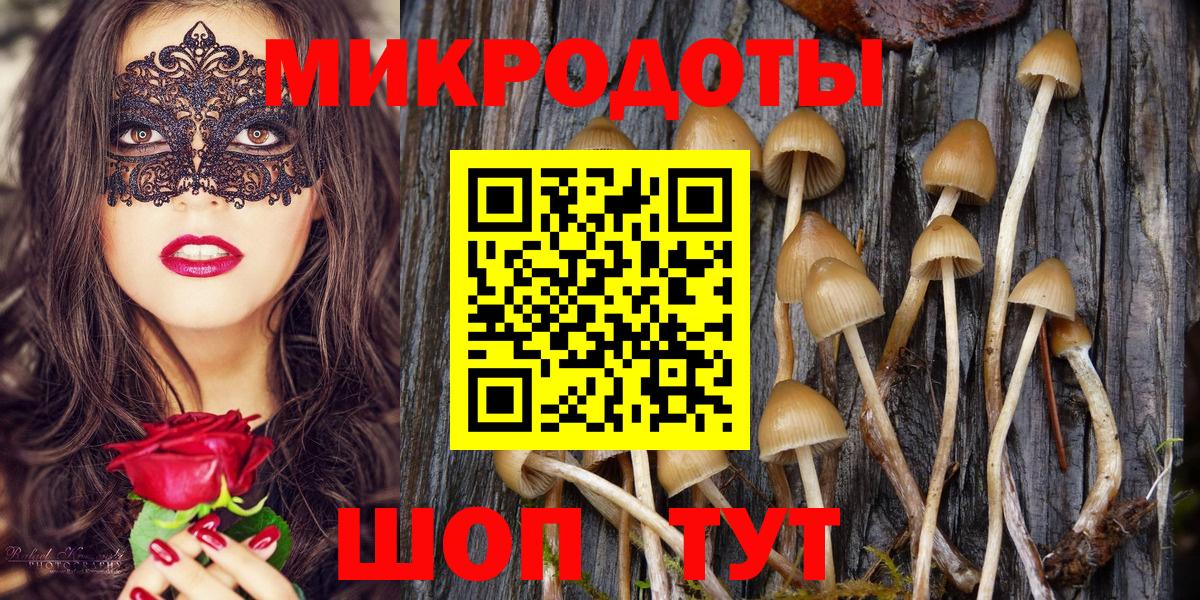 Псилоцибиновые грибы MAGIC MUSHROOMS  Вход с VPN  Светлоград 