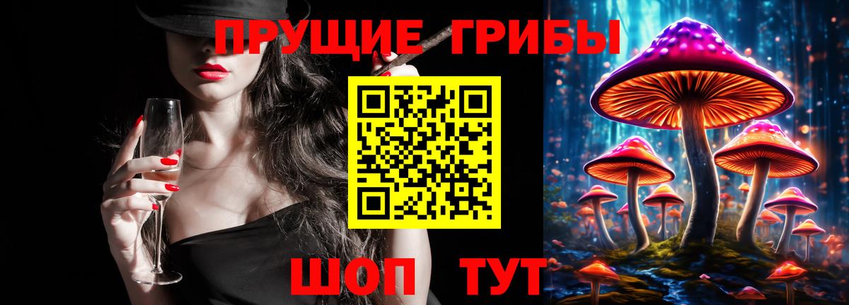 Псилоцибиновые грибы прущие грибы Светлоград