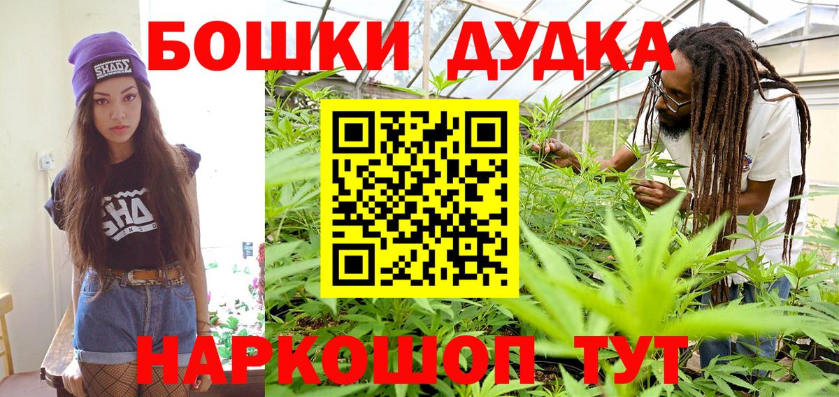 Светлоград  Конопля сатива  Каннабис план  Вход с VPN  Конопля Bruce Banner 